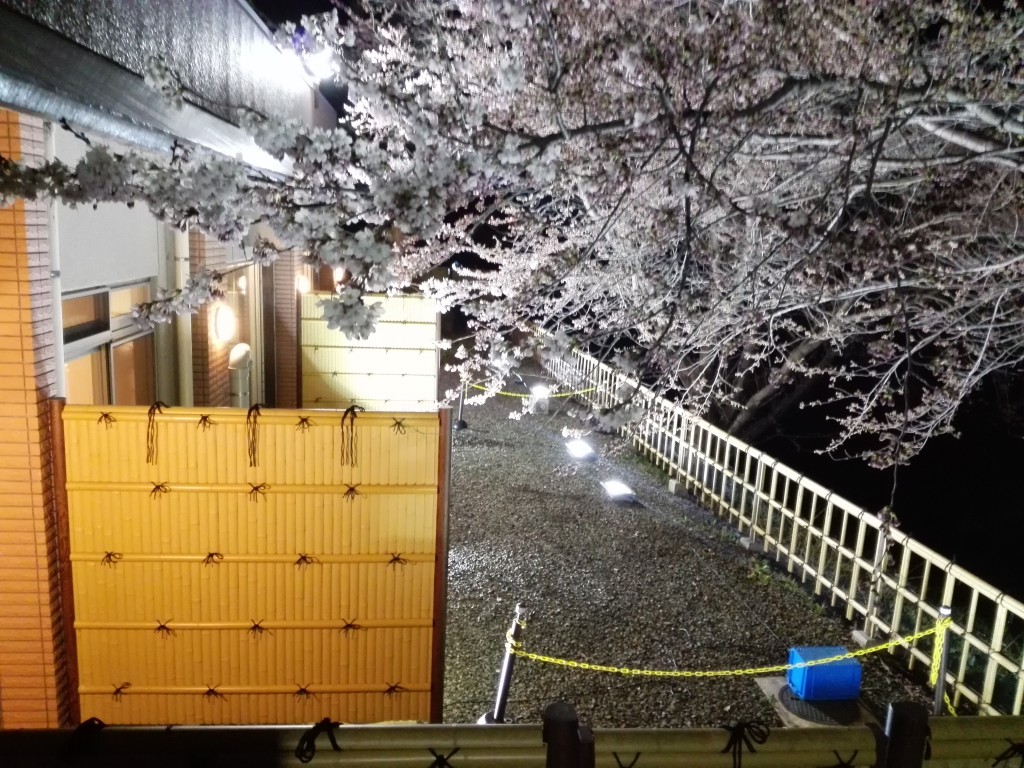【大浴場前夜桜ライトアップ イメージ】